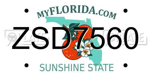ZSD7560 Florida License Plate