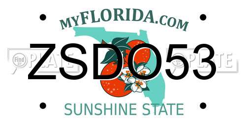 ZSDO53 Florida License Plate