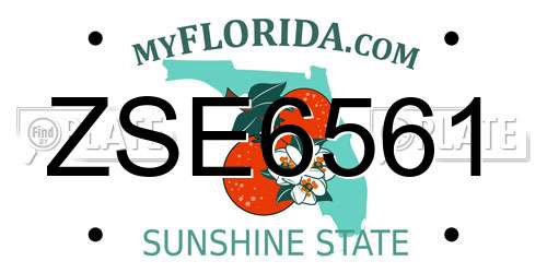ZSE6561 Florida License Plate