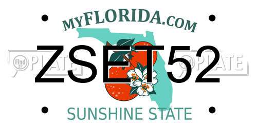 ZSET52 Florida License Plate