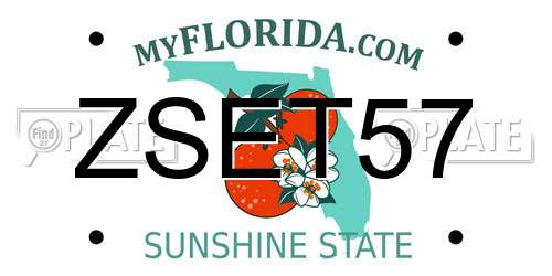 ZSET57 Florida License Plate