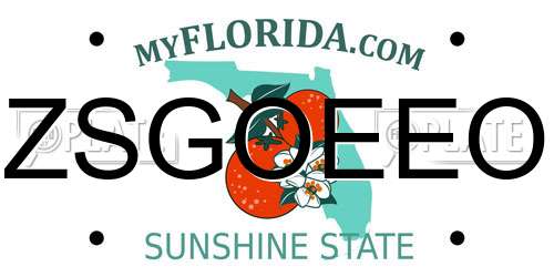 ZSGOEEO Florida License Plate