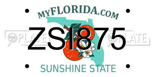 ZSI875 Florida License Plate