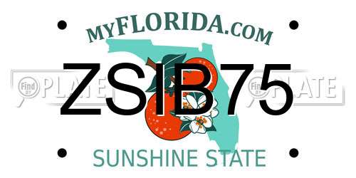 ZSIB75 Florida License Plate