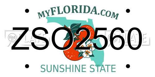ZSO2560 Florida License Plate
