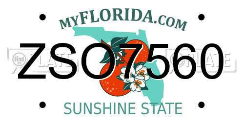 ZSO7560 Florida License Plate