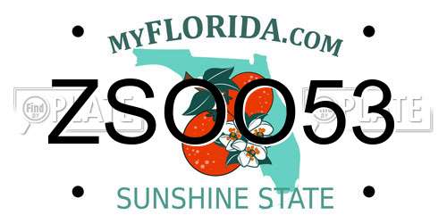 ZSOO53 Florida License Plate