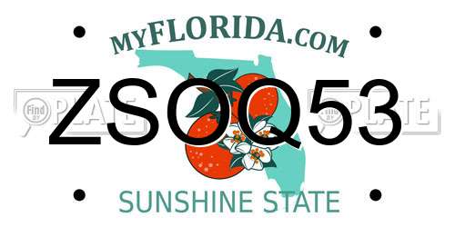 ZSOQ53 Florida License Plate