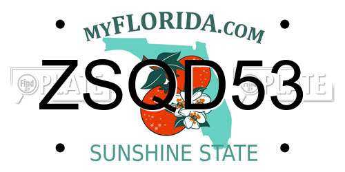 ZSQD53 Florida License Plate