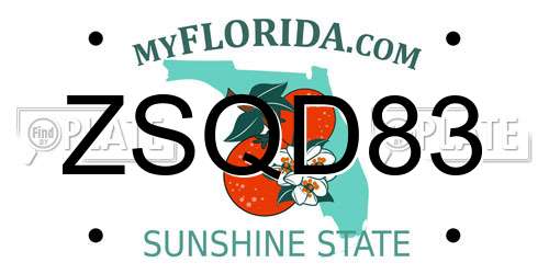 ZSQD83 Florida License Plate