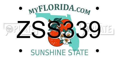 ZSS339 Florida License Plate