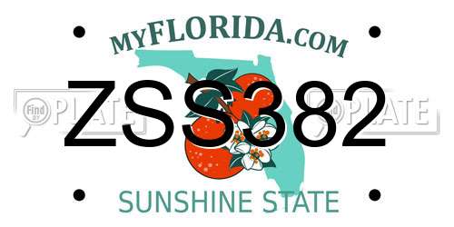 ZSS382 Florida License Plate