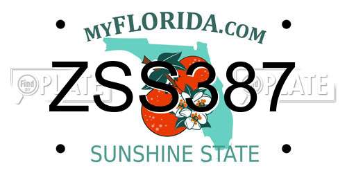 ZSS387 Florida License Plate