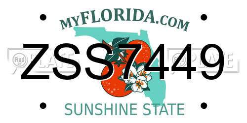 ZSS7449 Florida License Plate