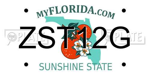 ZST12G Florida License Plate