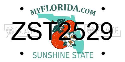ZST2529 Florida License Plate