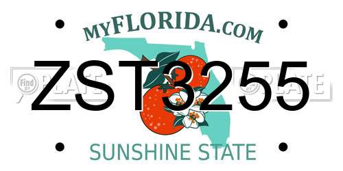 ZST3255 Florida License Plate