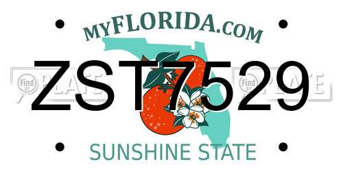 ZST7529 Florida License Plate