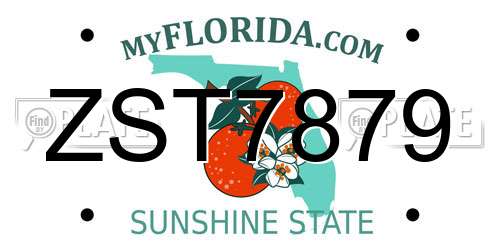 ZST7879 Florida License Plate