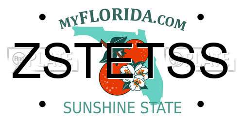 ZSTETSS Florida License Plate
