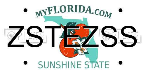 ZSTEZSS Florida License Plate