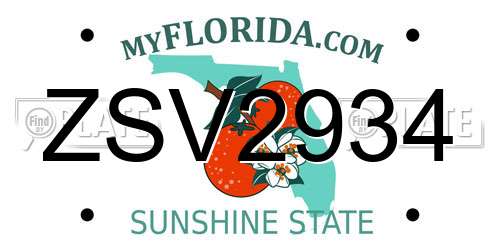 ZSV2934 Florida License Plate