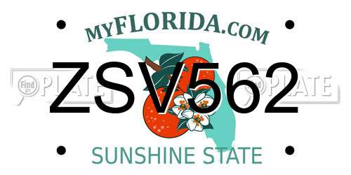 ZSV562 Florida License Plate