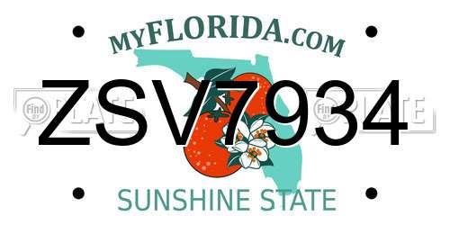 ZSV7934 Florida License Plate