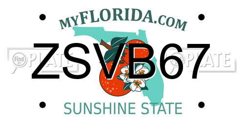 ZSVB67 Florida License Plate