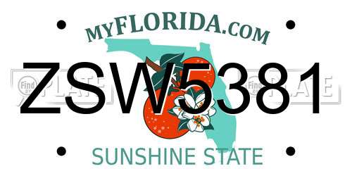 ZSW5381 Florida License Plate