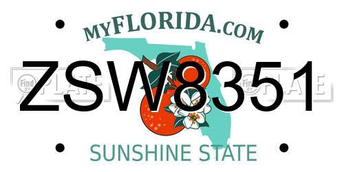 ZSW8351 Florida License Plate
