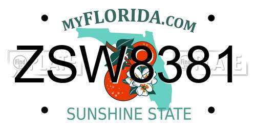 ZSW8381 Florida License Plate