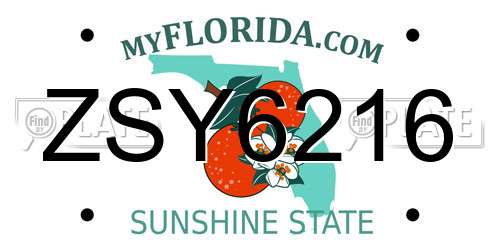 ZSY6216 Florida License Plate