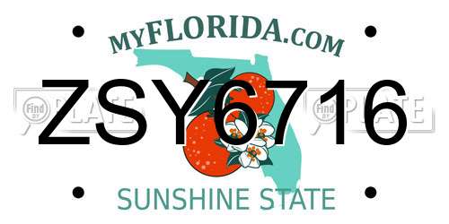 ZSY6716 Florida License Plate