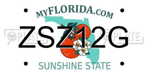 ZSZ12G Florida License Plate