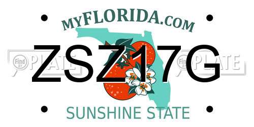 ZSZ17G Florida License Plate