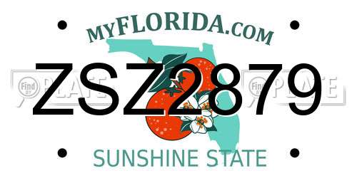 ZSZ2879 Florida License Plate