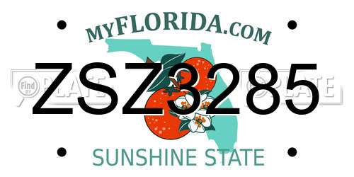ZSZ3285 Florida License Plate