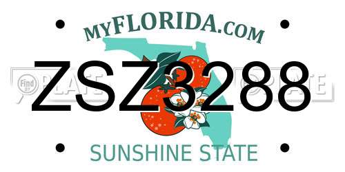 ZSZ3288 Florida License Plate