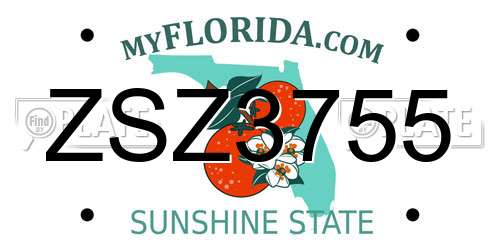 ZSZ3755 Florida License Plate