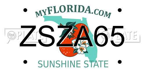 ZSZA65 Florida License Plate