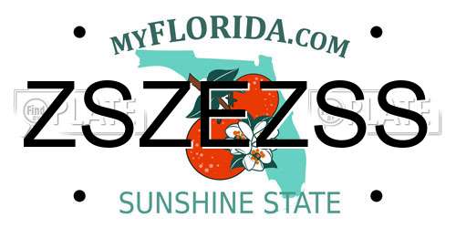 ZSZEZSS Florida License Plate