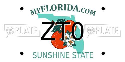 ZT0 Florida License Plate