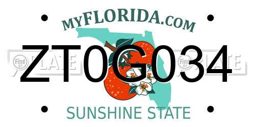 ZT0G034 Florida License Plate