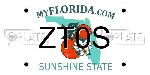 ZT0S Florida License Plate