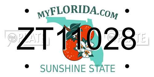 ZT11028 Florida License Plate