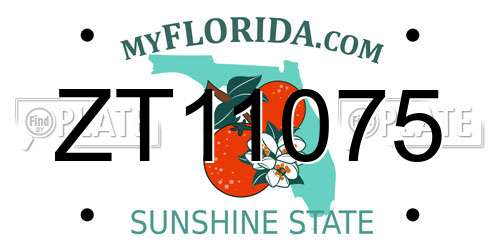 ZT11075 Florida License Plate
