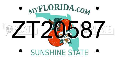 ZT20587 Florida License Plate