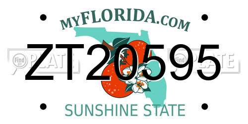 ZT20595 Florida License Plate