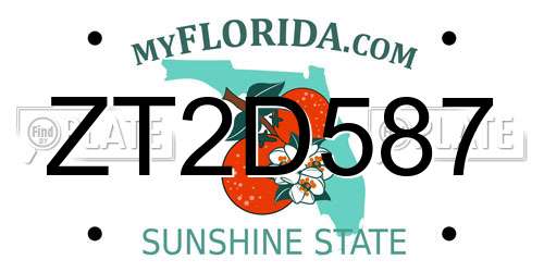 ZT2D587 Florida License Plate